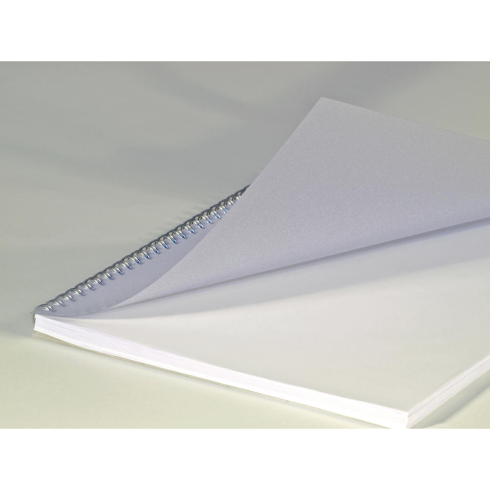 RENZ Deckblatt 20200014 DIN A4 matt 0,2 mm