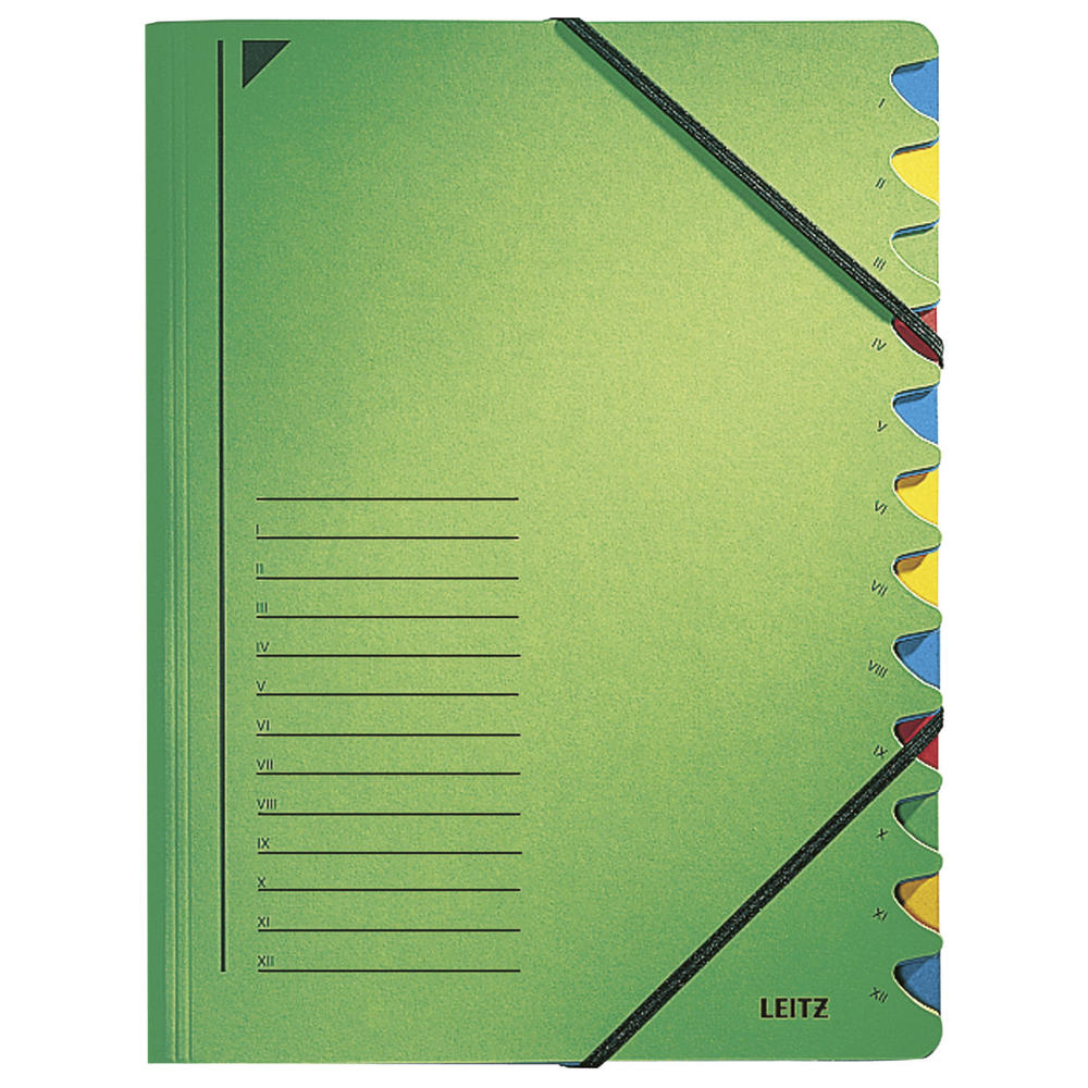Leitz Ordnungsmappe 39120055 DIN A4 12Fächer