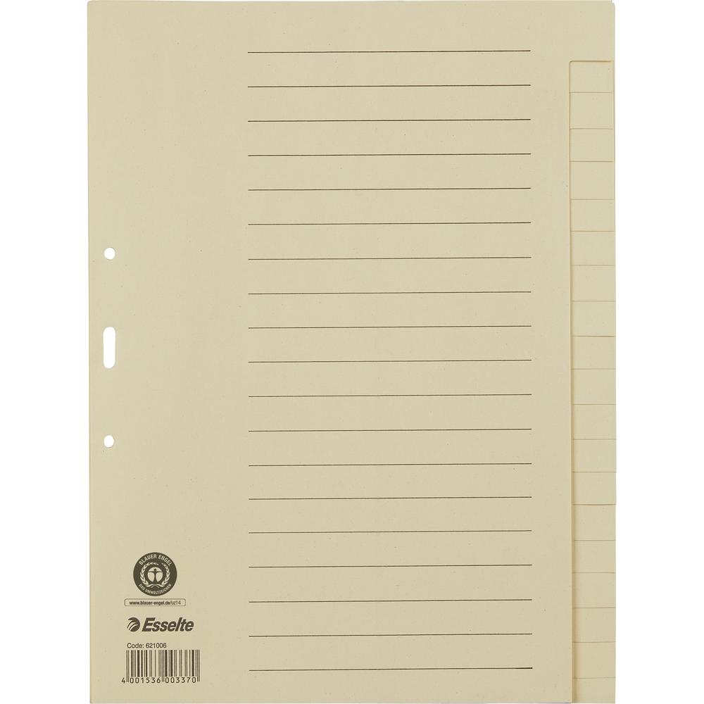 Esselte Register 621006 blanko DIN A4 20Bl. Papier