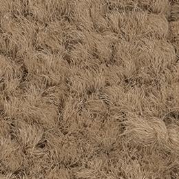 Schmutzfangmatte Eazycare Style, Farbe Beige | Beige | Breite 800 x Länge 1200 mm
