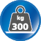 Belastbar bis 300 kg Belastbar bis 300 kg