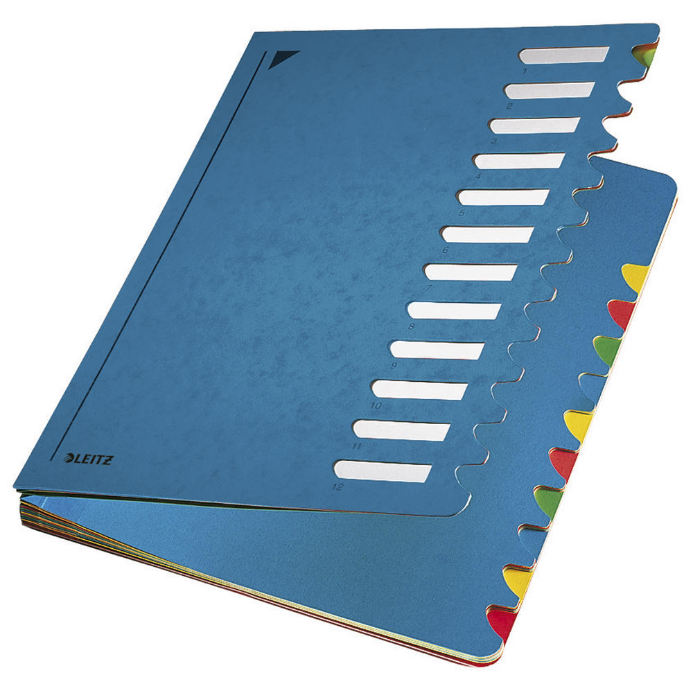 Leitz Ordnungsmappe Deskorganizer Color 59120035