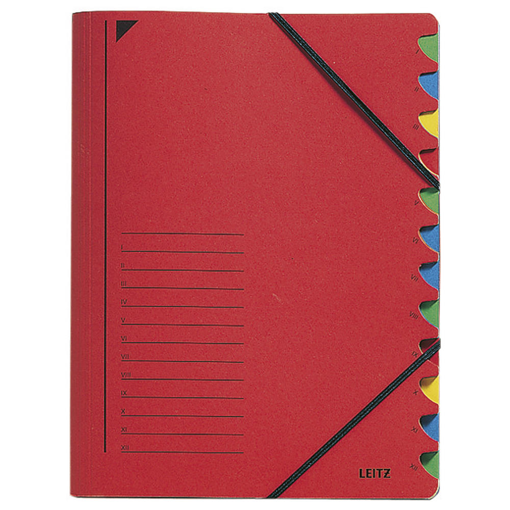 Leitz Ordnungsmappe 39120025 DIN A4 12Fächer