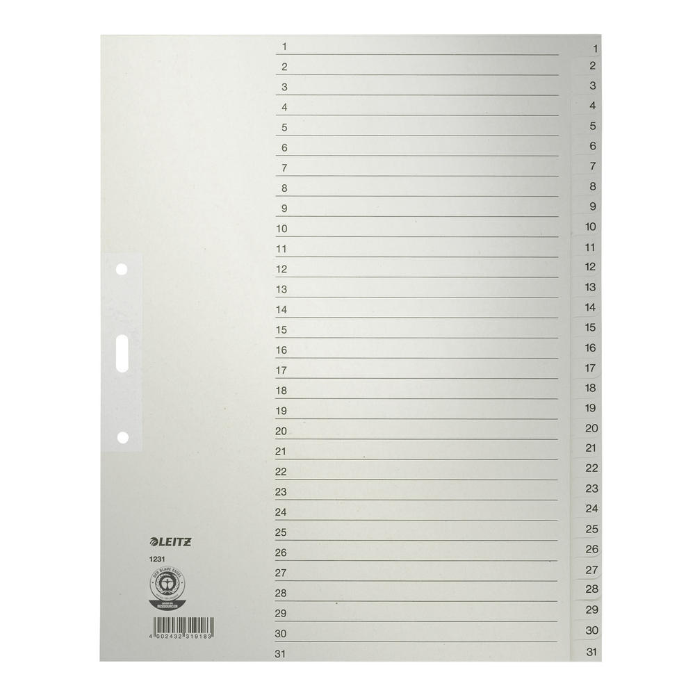 Leitz Register 12310085 DIN A4 1-31 volle Höhe