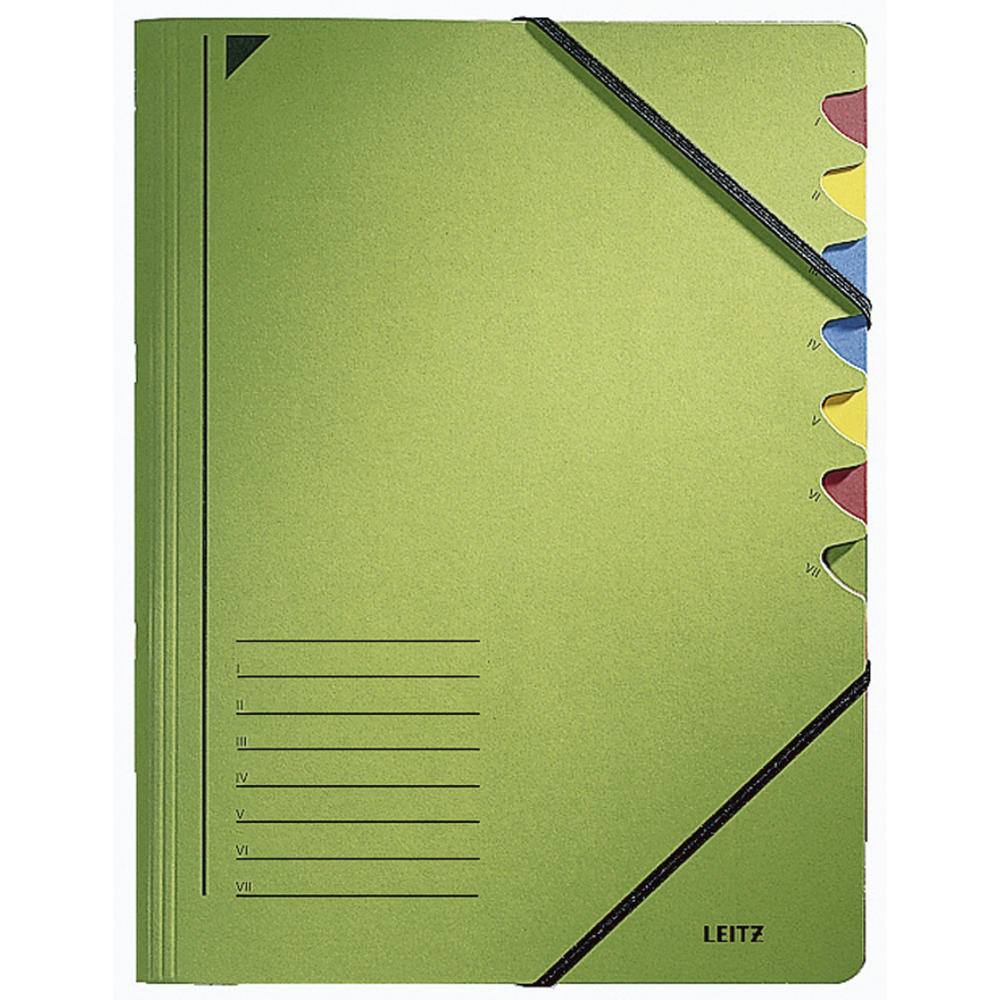 Leitz Ordnungsmappe 39070055 DIN A4 7Fächer farbig