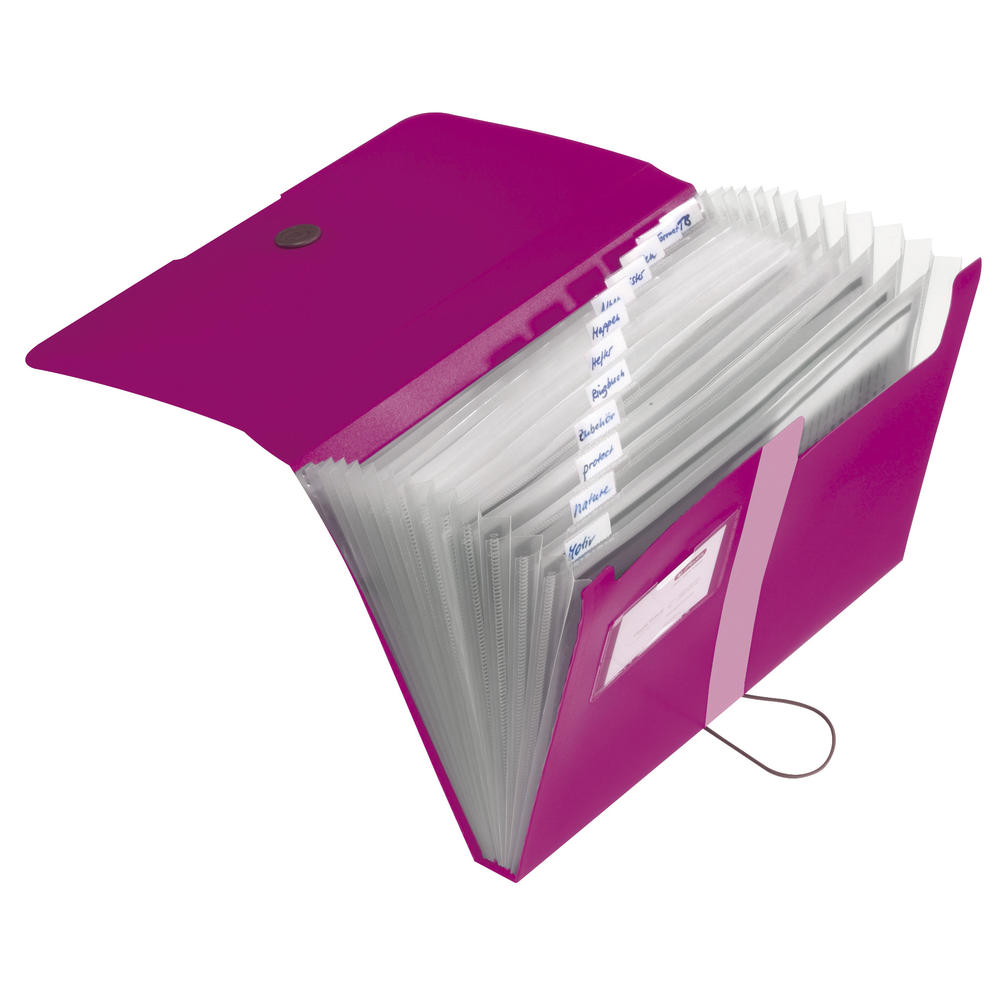 Herlitz Fächermappe easy orga to go 11217114 A4