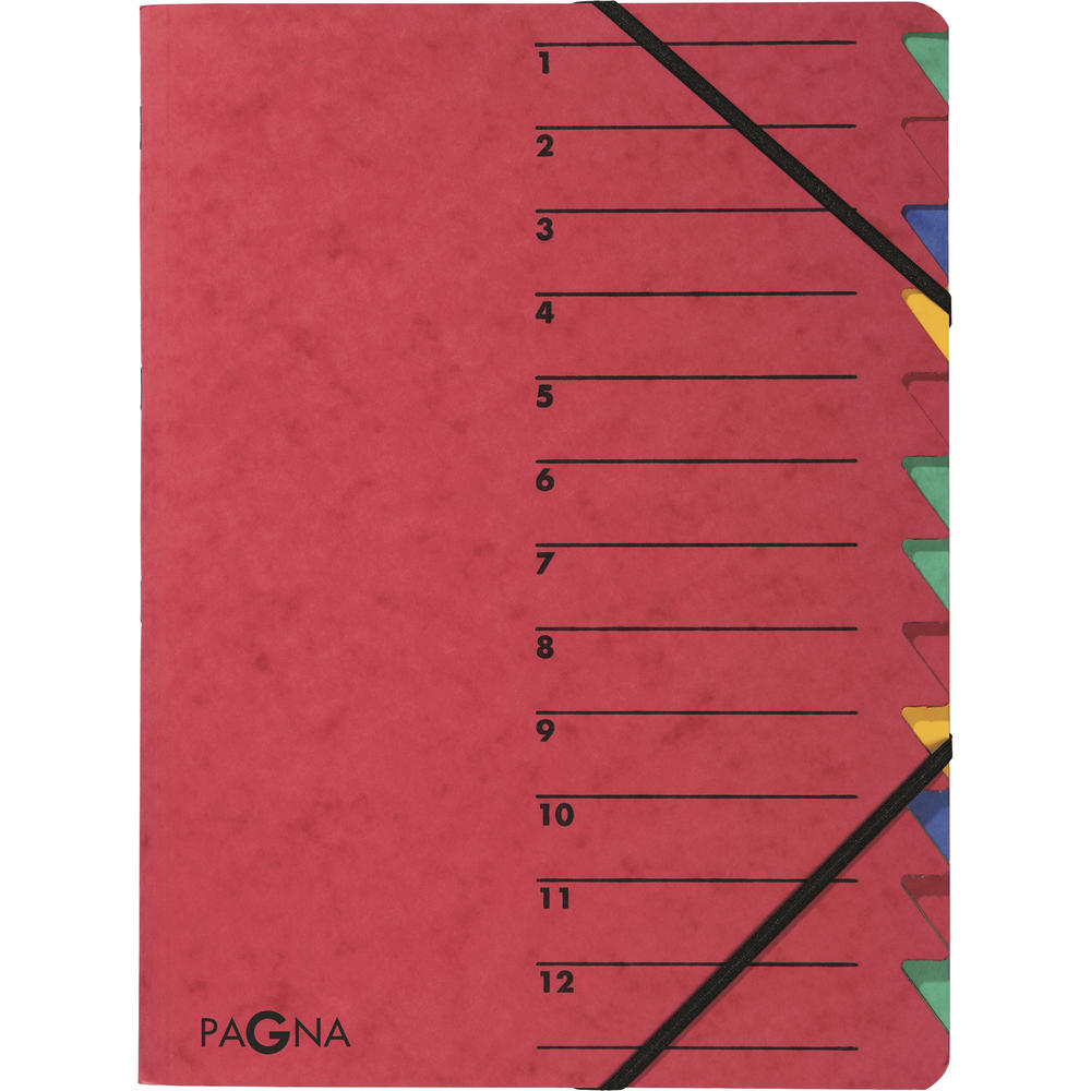 PAGNA Ordnungsmappe EASY 24131-01 DIN A4 12Fächer