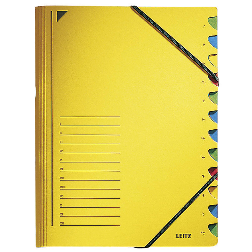 Leitz Ordnungsmappe 39120015 DIN A4 12Fächer