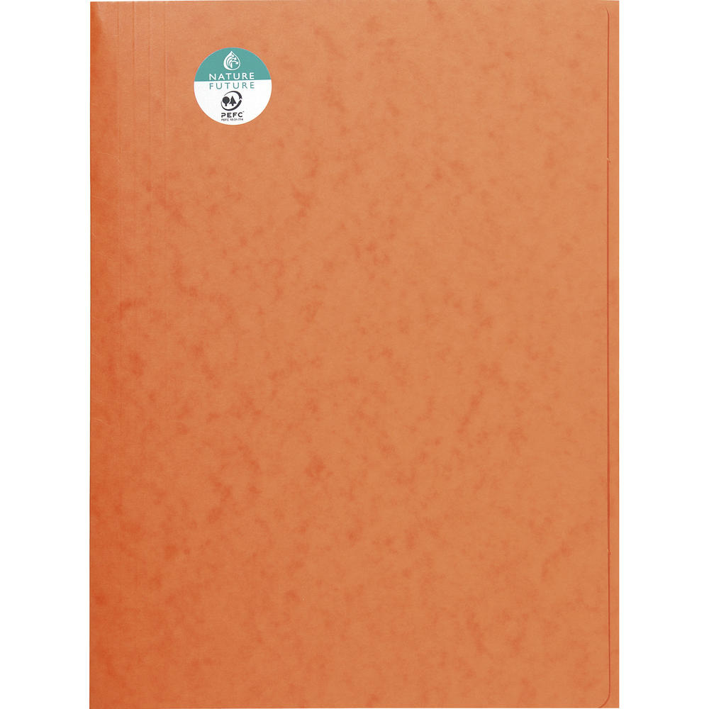 Exacompta Sammelmappe 56409E DIN A4 3Klappen
