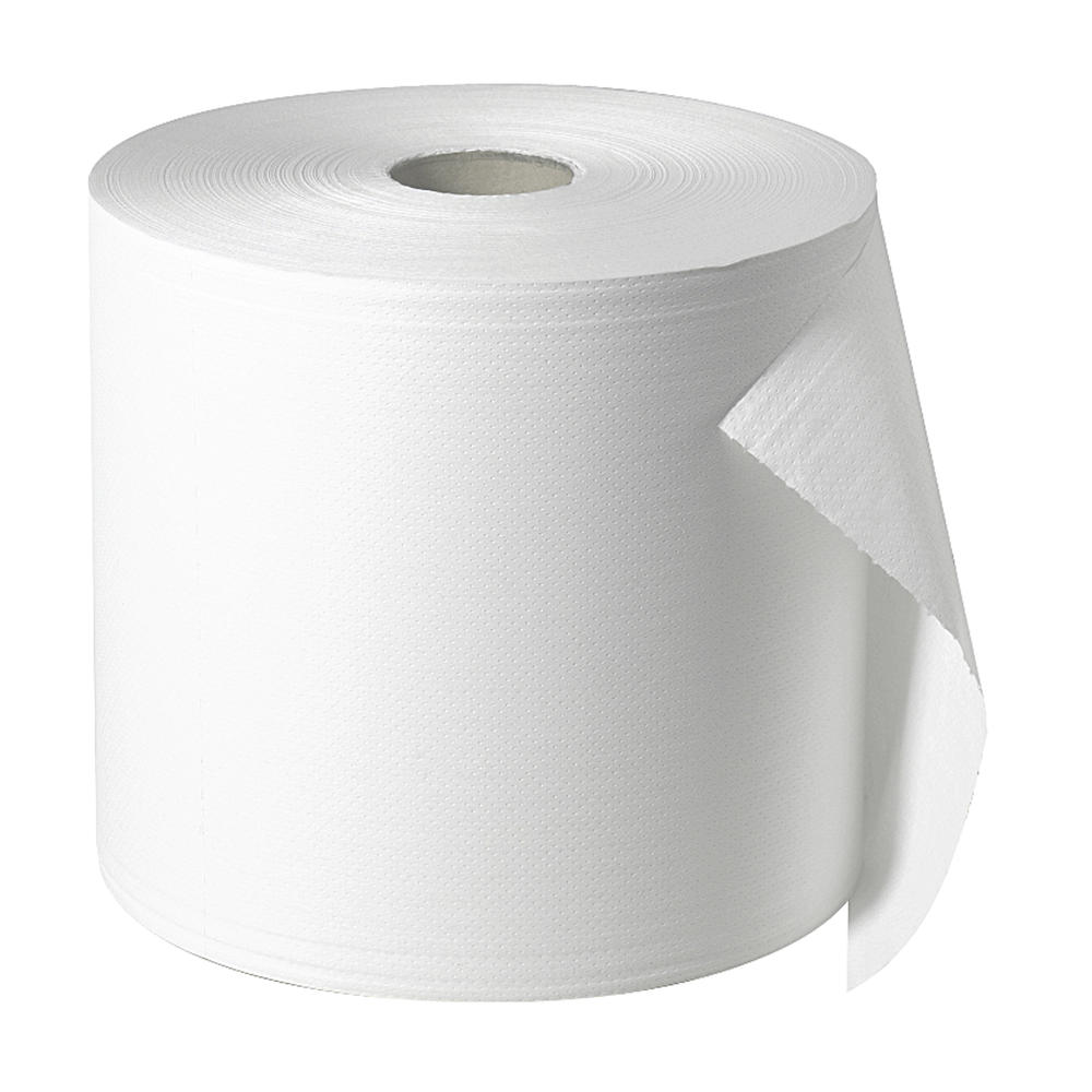 Fripa Putzrolle 5522902 28cmx570m 2lagig Tissue