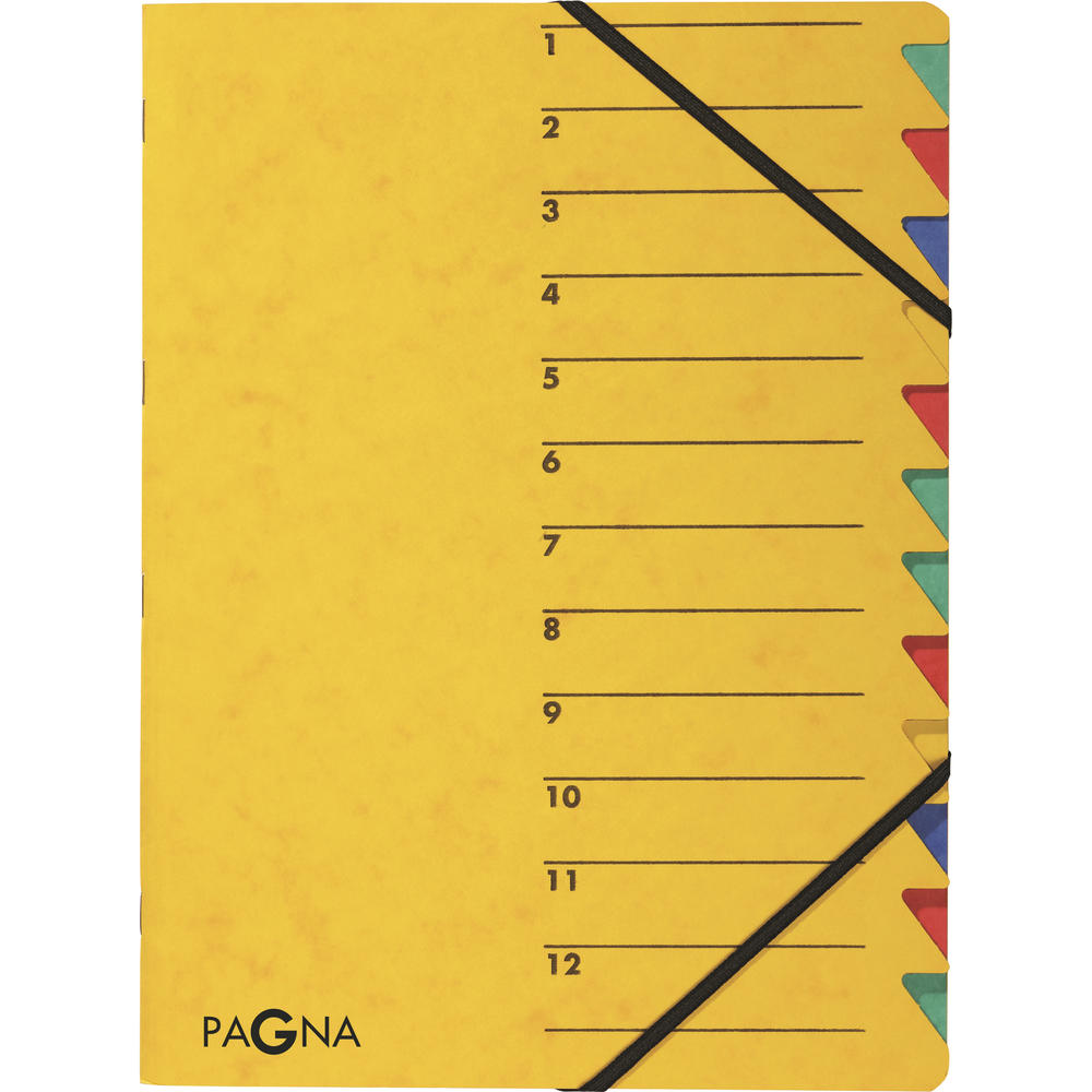 PAGNA Ordnungsmappe EASY 24131-05 DIN A4 12Fächer