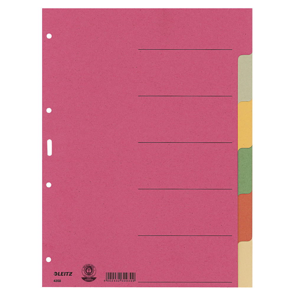Leitz Register 43580000 blanko DIN A4 Karton