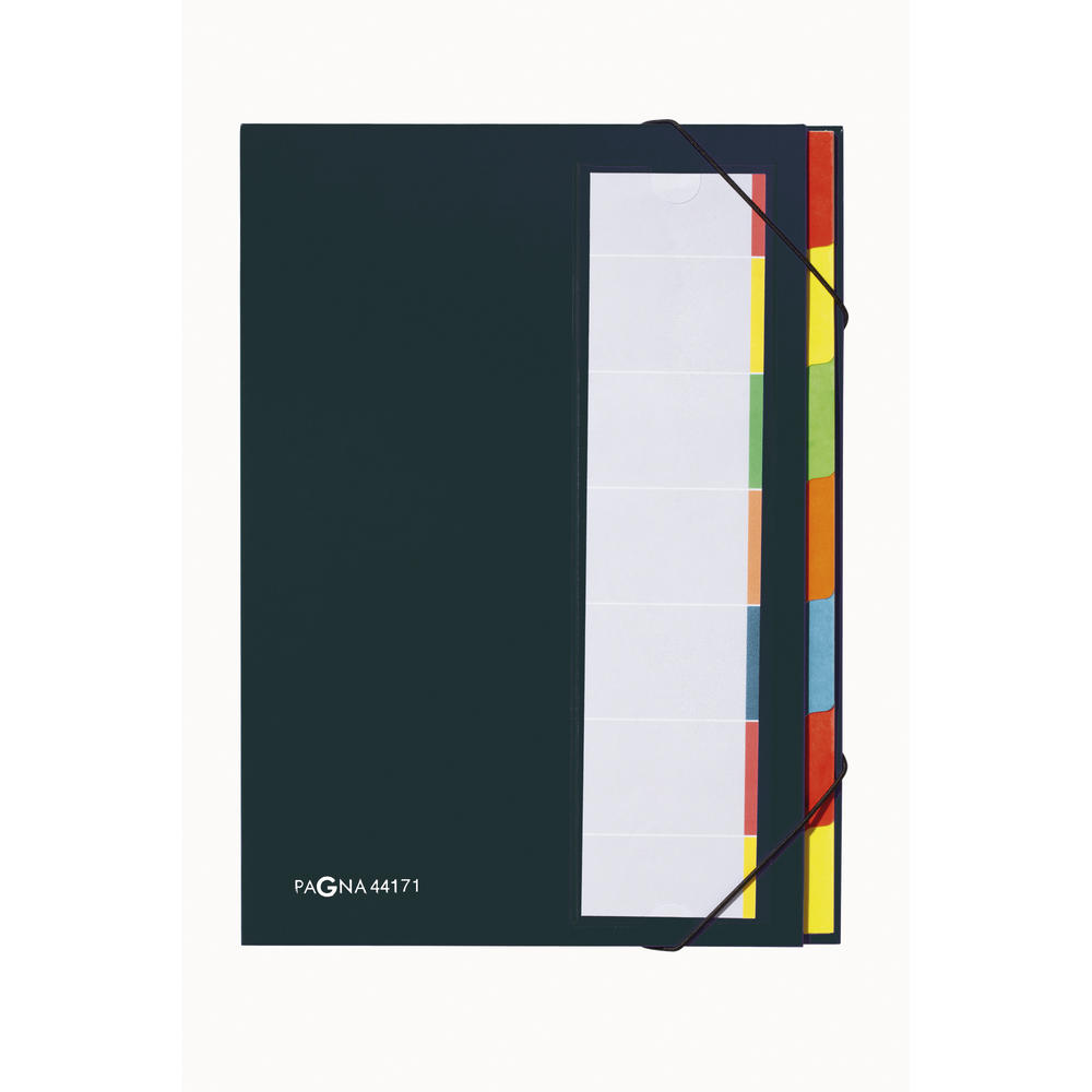 PAGNA Ordnungsmappe Deskorganizer 44171-04 DIN A4