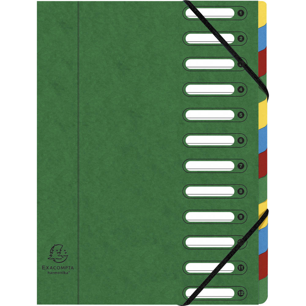 Exacompta Ordnungsmappe Harmonika 55123E DIN A4