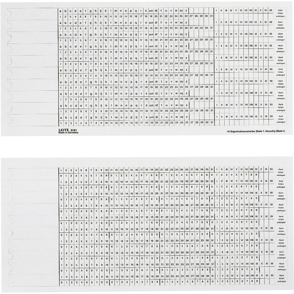 Leitz Organisationsstreifen 61610001 S1/2ws 100