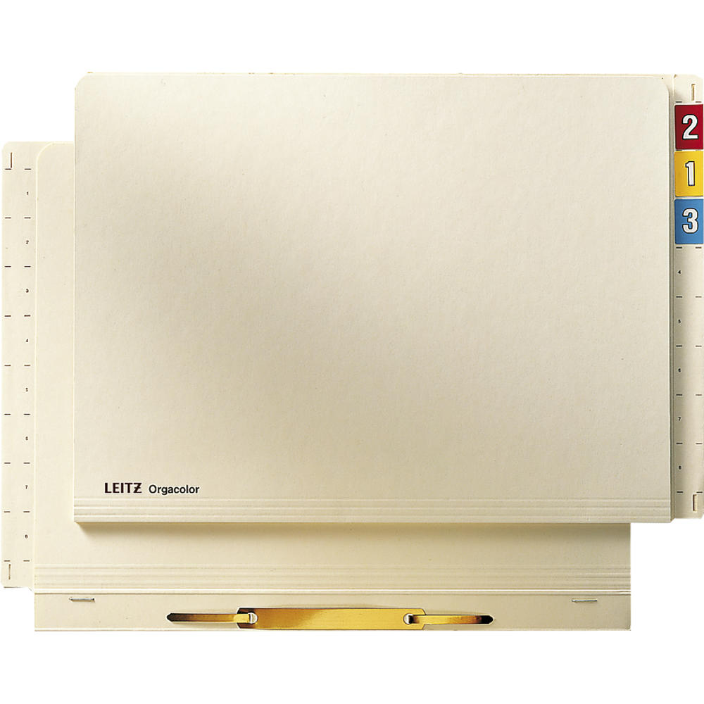 Leitz Einstellhefter Orgacolor 24420011 DIN A4 RC