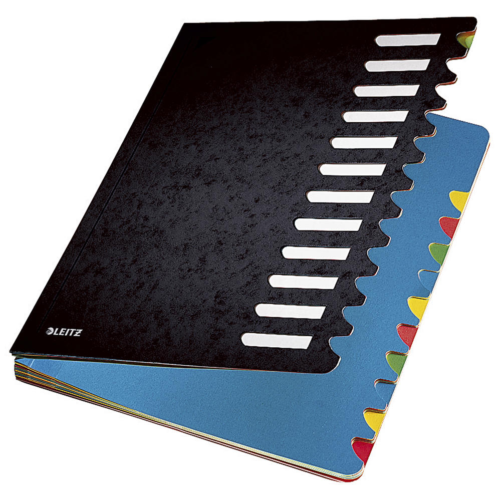 Leitz Ordnungsmappe Deskorganizer Color 59120095