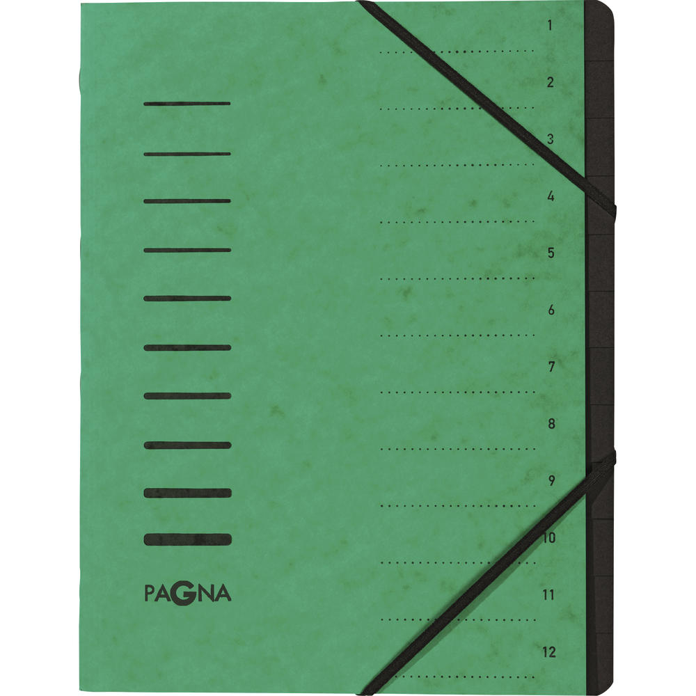 PAGNA Ordnungsmappe 40059-03 DIN A4 12Fächer