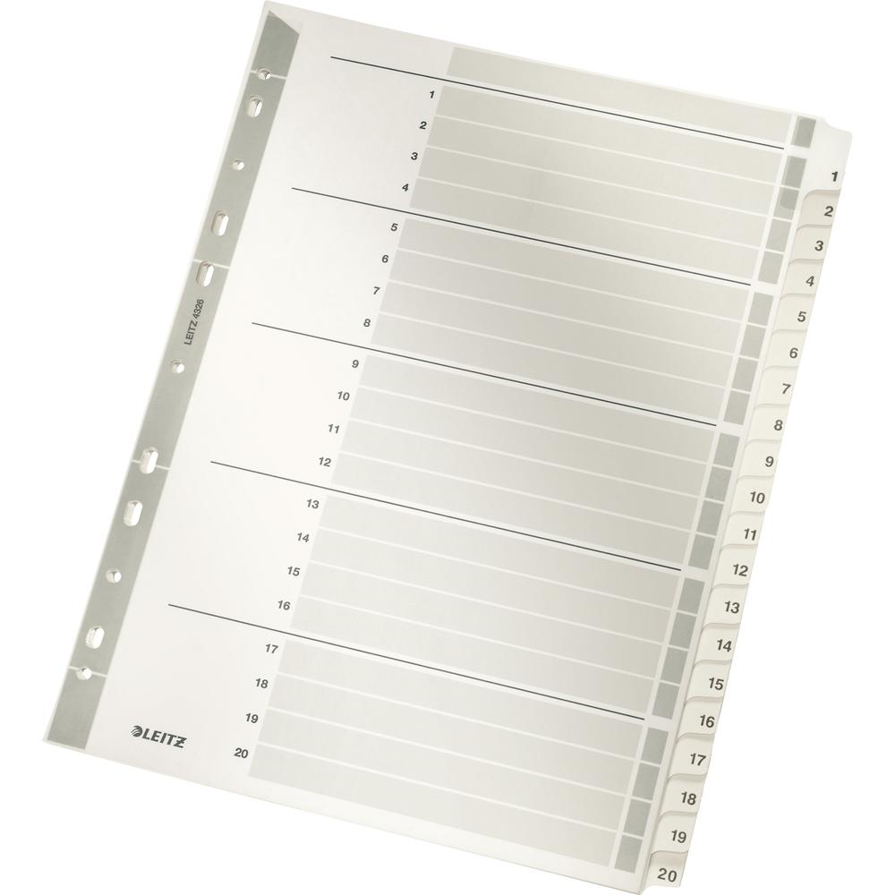Leitz Register 43260000 DIN A4 1-20 volle Höhe