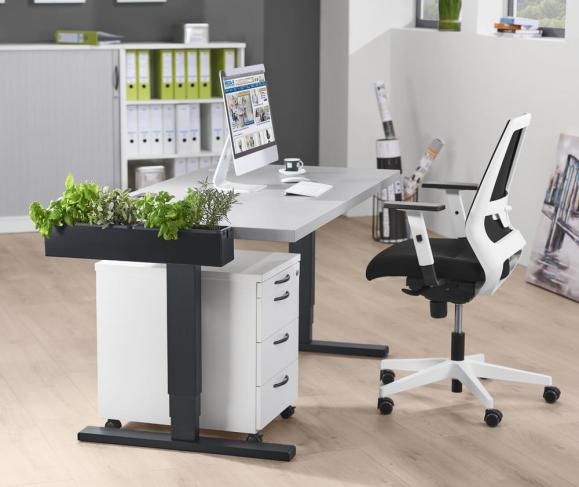 Höhenverstellbarer Schreibtisch Comfort ELEMENTS Lichtgrau | 1600 | Schwarz RAL 9005